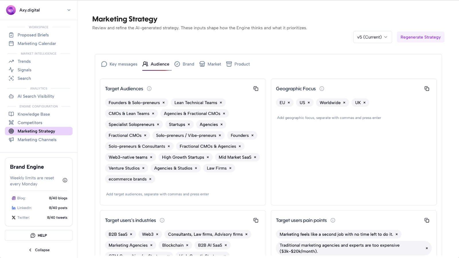 Marketing strategy audience and geographic focus settings